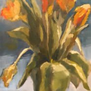 Orange Tulips
