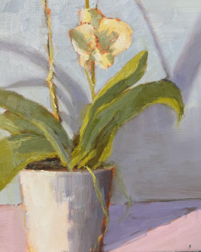 Yellow Orchid