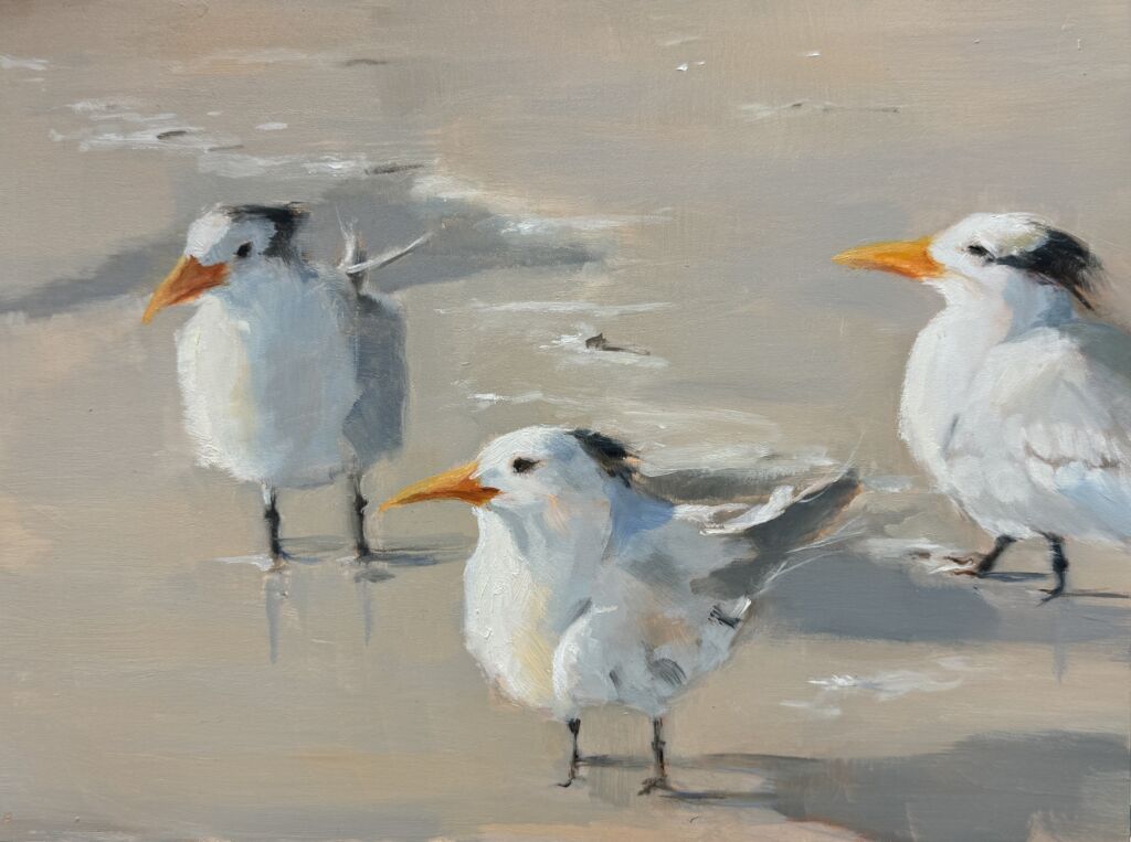 Tern Around