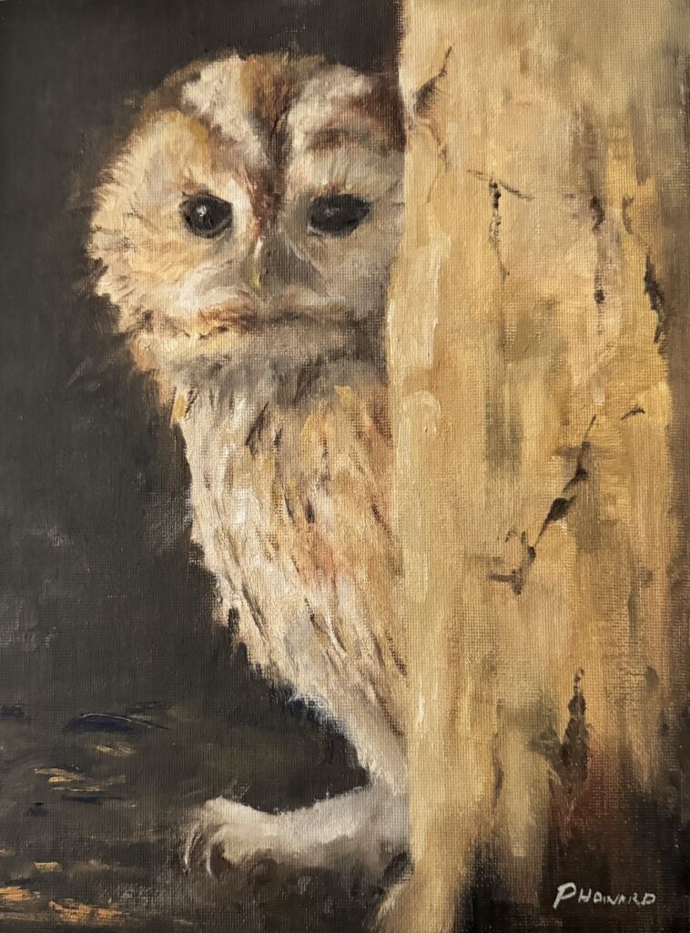 Burrowing Owl