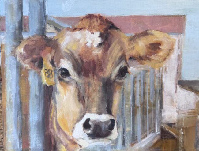 Jersey, Waterman Dairy Farm